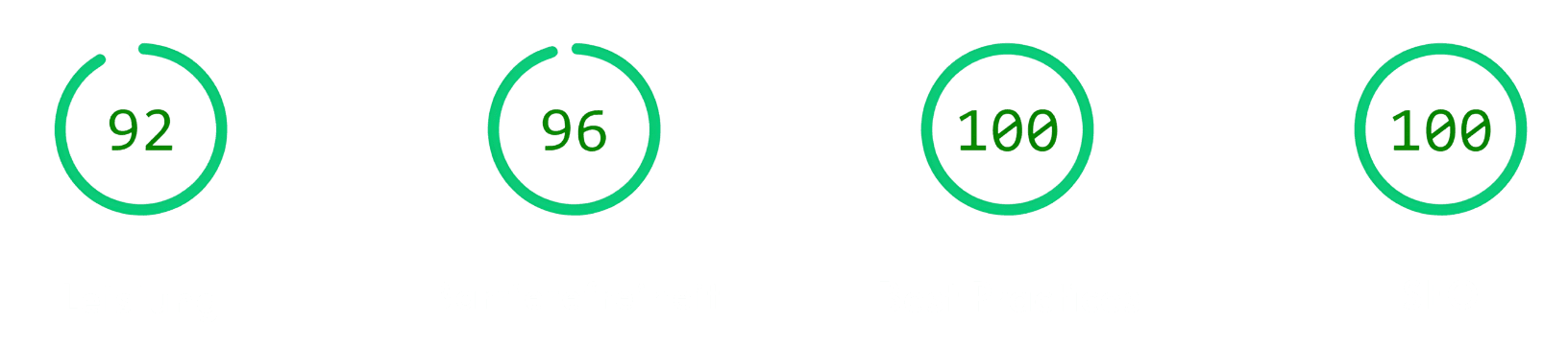 Google PageSpeed 100/100 Score